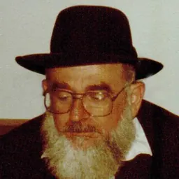 Portrait of Zephaniah Drori