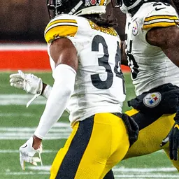 Portrait of Terrell Edmunds