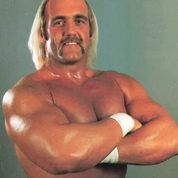 Portrait of Hulk Hogan