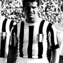 Portrait of Romolo Bizzotto