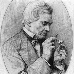 Portrait of August Grisebach