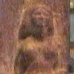 Portrait of Khentetka
