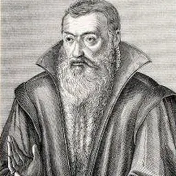 Portrait of Johannes Sturm