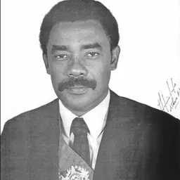 Portrait of Albuíno Cunha de Azeredo