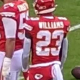 Portrait of Joshua Williams