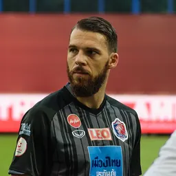Portrait of Dragan Boškovic