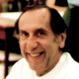 Portrait of Stefano Levialdi Ghiron