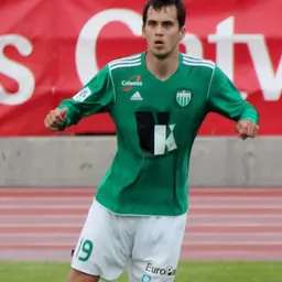 Portrait of Aleksandr Kulinitš
