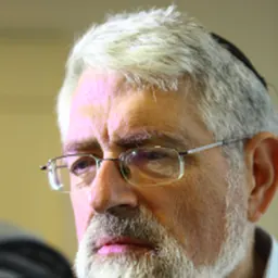 Portrait of Haim Sompolinsky