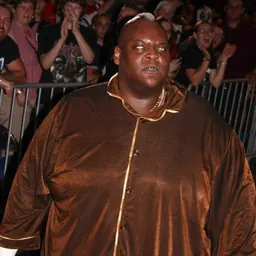 Portrait of Viscera