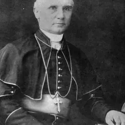Portrait of John Cani