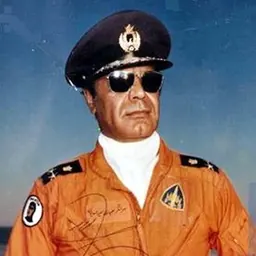 Portrait of Saeid Mahdioun