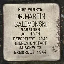 Portrait of Martin Salomonski