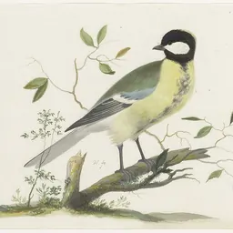 Portrait of Pieter Holsteijn