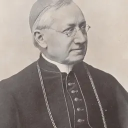 Portrait of Ignatius von Senestréy