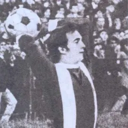 Portrait of Radu Troi