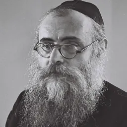 Portrait of Isaac-Meir Levin