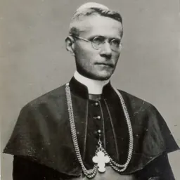 Portrait of Josip Srebrnič
