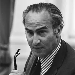 Portrait of Henk Vredeling