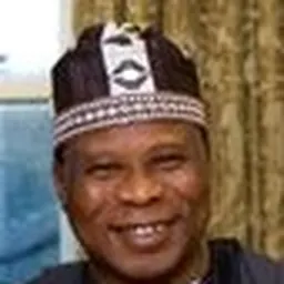 Portrait of Adebowale Adefuye