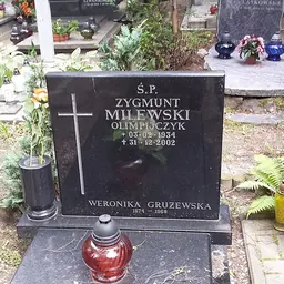 Portrait of Zygmunt Milewski