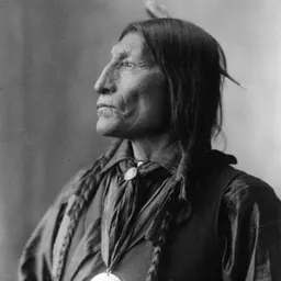Portrait of Wolf Robe