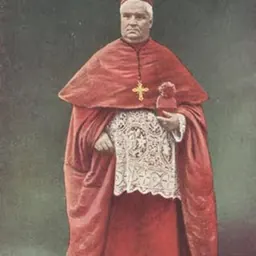 Portrait of François Virgile Dubillard