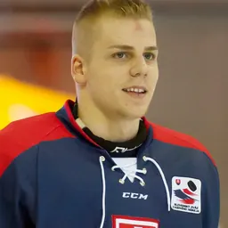 Portrait of Erik Černák