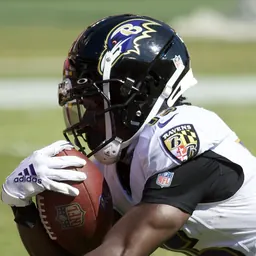 Portrait of Marquise Brown