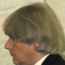 Portrait of Dezső Ránki