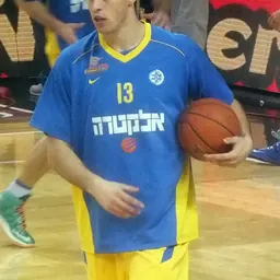 Portrait of Darko Planinić