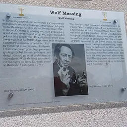Portrait of Wolf Messing