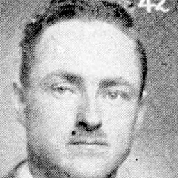 Portrait of David Howard