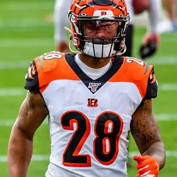 Portrait of Joe Mixon