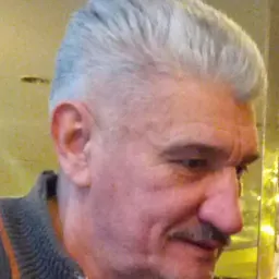 Portrait of Davor Domazet-Lošo
