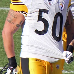 Portrait of Larry Foote