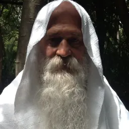 Portrait of Shiva Shambho