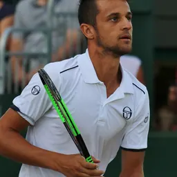 Portrait of Mate Pavić