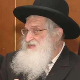 Portrait of Dov Schwartzman