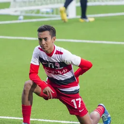 Portrait of Muhammad Faris Ramli