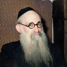 Portrait of Shlomo Shleifer