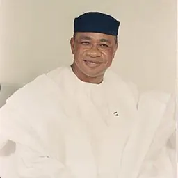 Portrait of Frank Ogbuewu