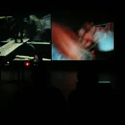 Portrait of Phill Niblock