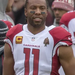 Portrait of Larry Fitzgerald