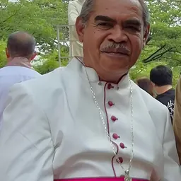 Portrait of Hironimus Pakaenoni