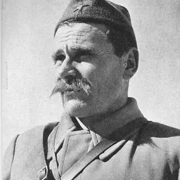 Portrait of Sava Kovačević