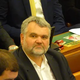Portrait of Csaba Gyüre