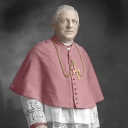 Portrait of Augustine Van de Vyver