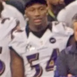 Portrait of Adrian Hamilton