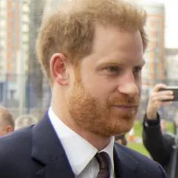 Portrait of Prince Harry, Duke of Sussex